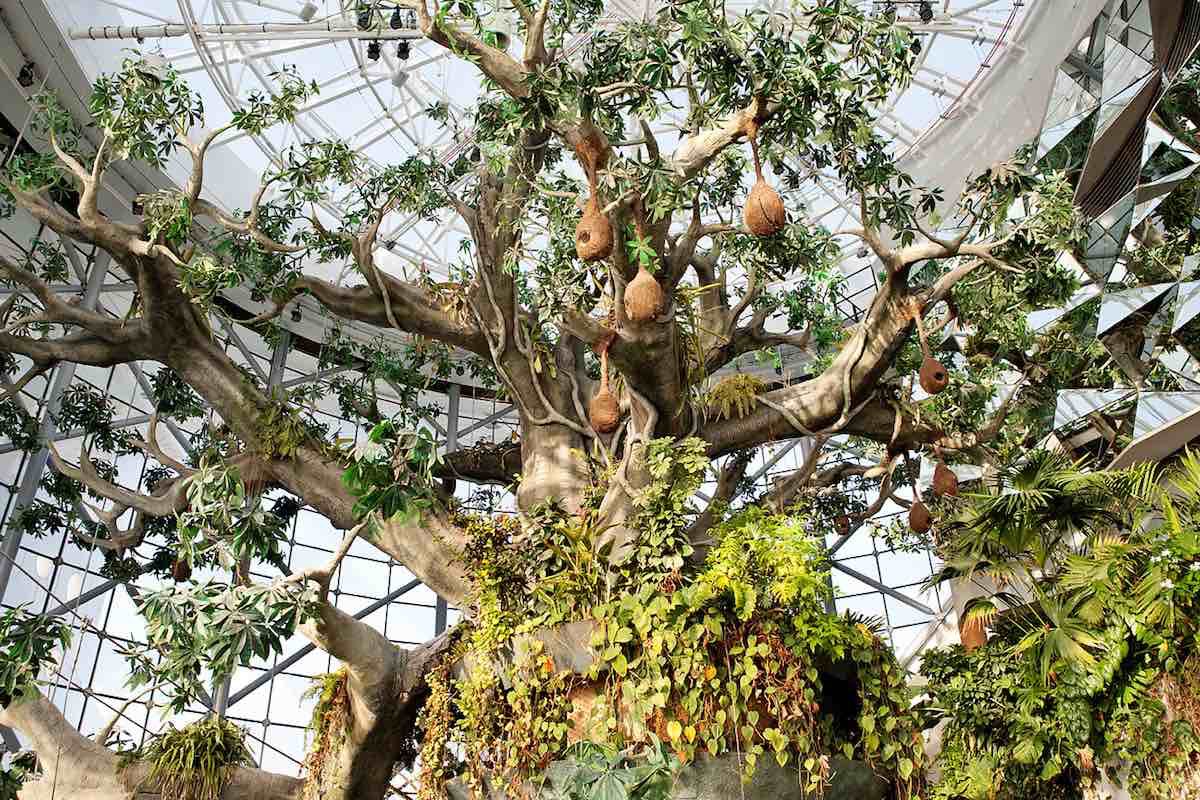 15) The Green Planet (Dubai)Explore and interact with a whole new world in a fully immersive indoor rain-forest   (Big Groups)