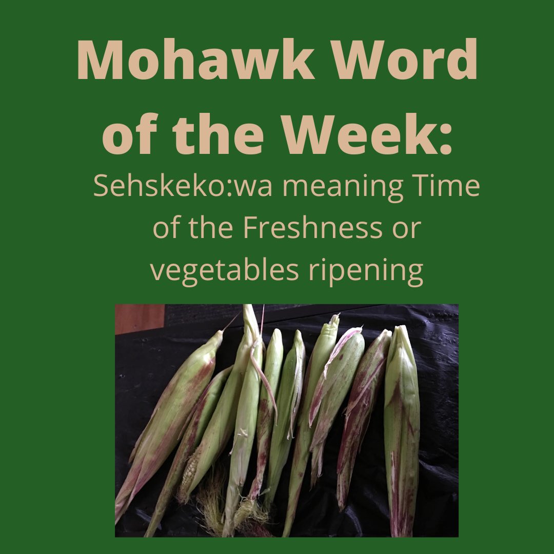 chiefswood's tweet image. It&apos;s the first day of a new month! which means a new Mohawk Word of the Week!

Today&apos;s Mohawk Word of the Week is the word used for September. 

#whereculturesmeet #ChiefswoodNHS #MohawkWordoftheWeek #MohawkLanguage #Haudenosaunee