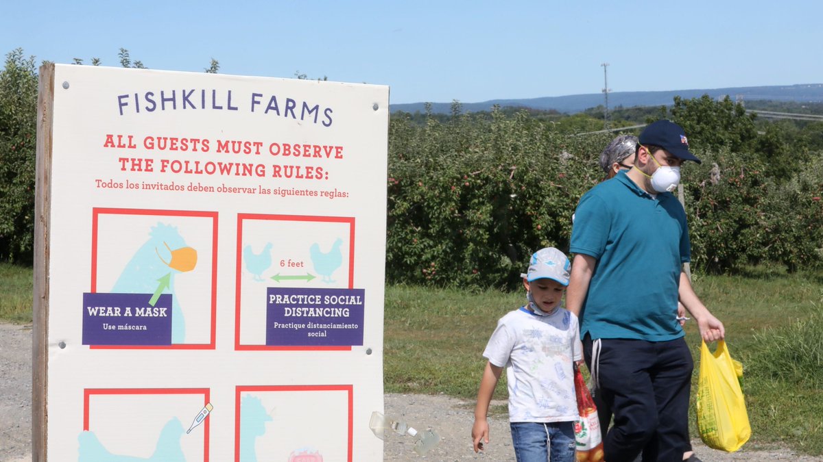 NYC_ICO's tweet photo. It's September and the start of apple picking season! Apple picking will look different this year but you can still #RecreateResponsibly. Read on to know what to expect from NY local farms during pandemic. https://t.co/7LKBubbRuk #ApplePicking #Fall #OptOutside https://t.co/OlSOrvDNLp