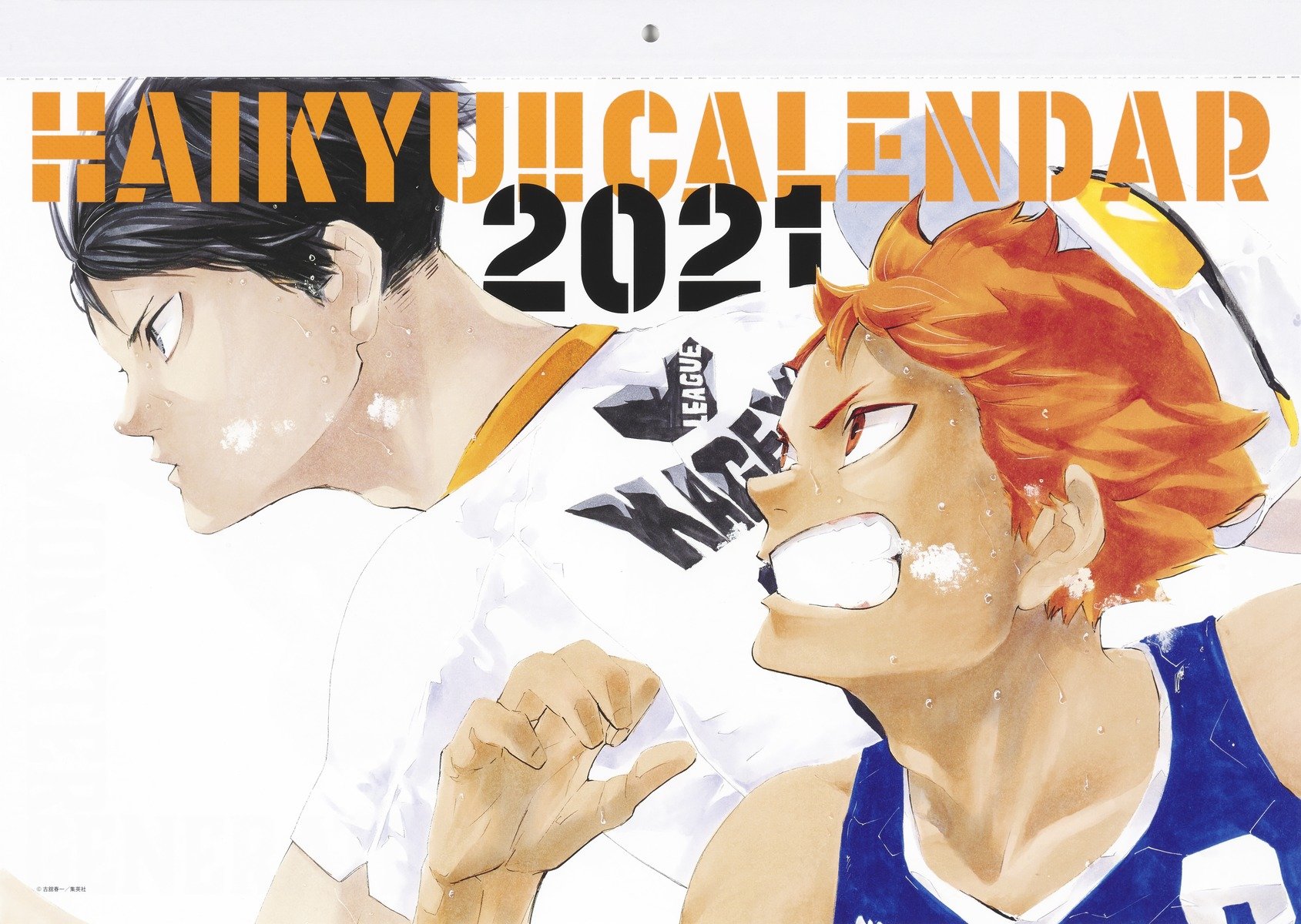 Haikyuu!, Wiki