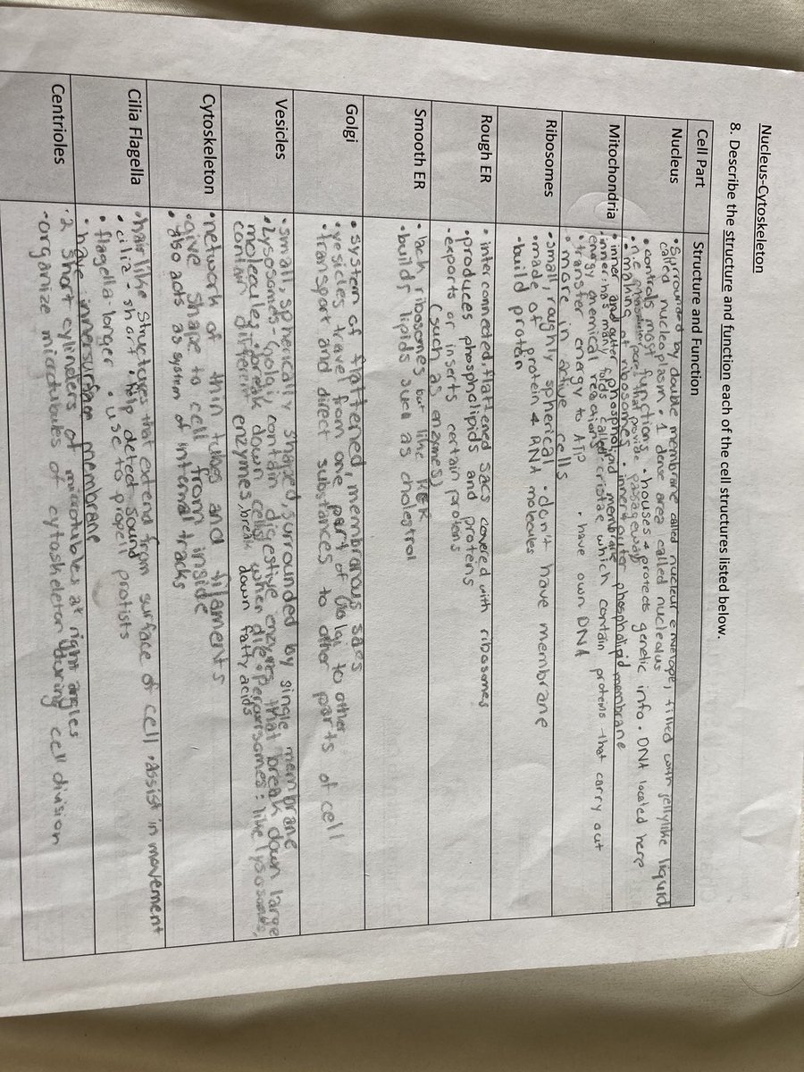 Cell Structure and Function