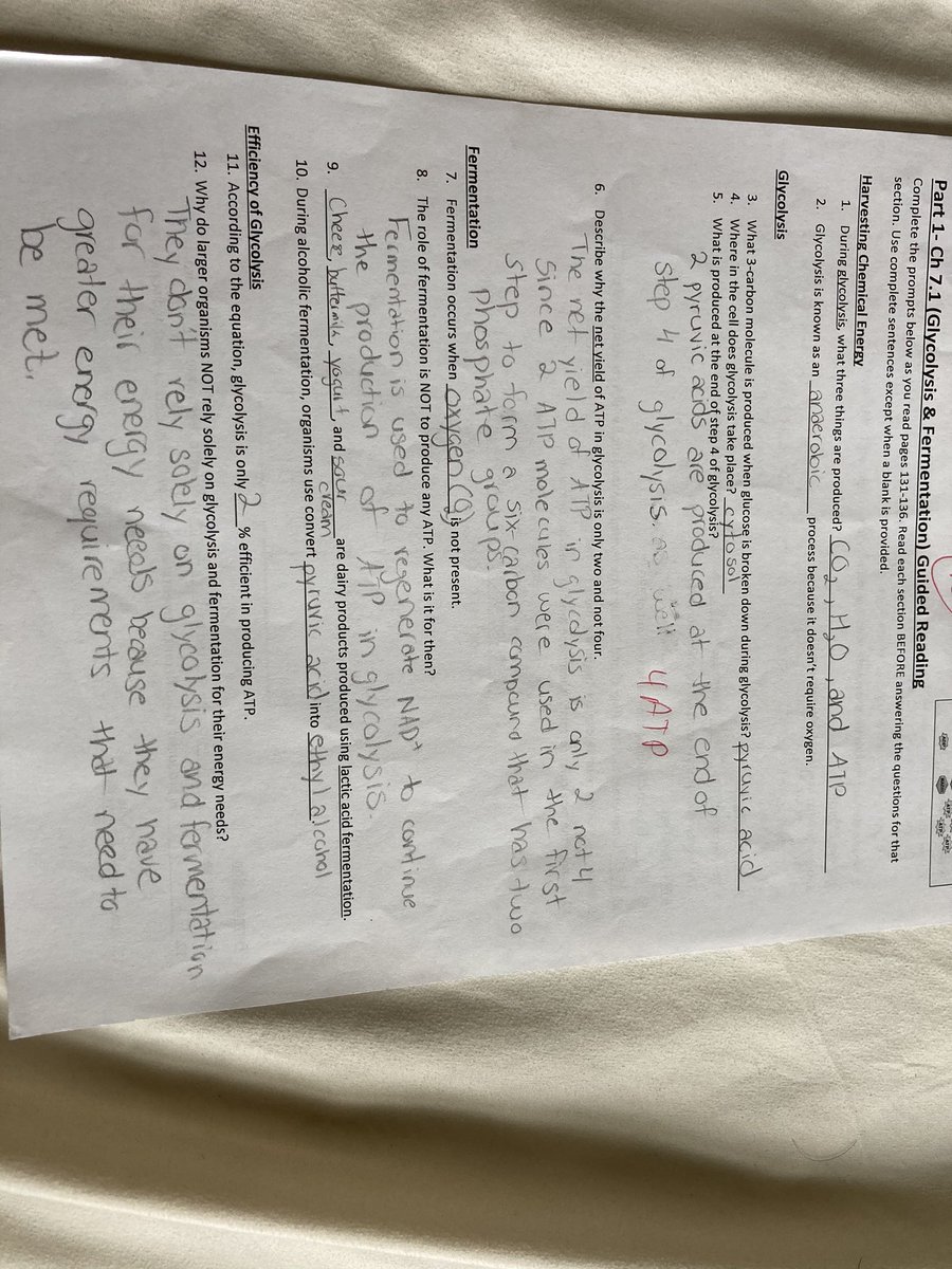 Glycolysis and Fermentation