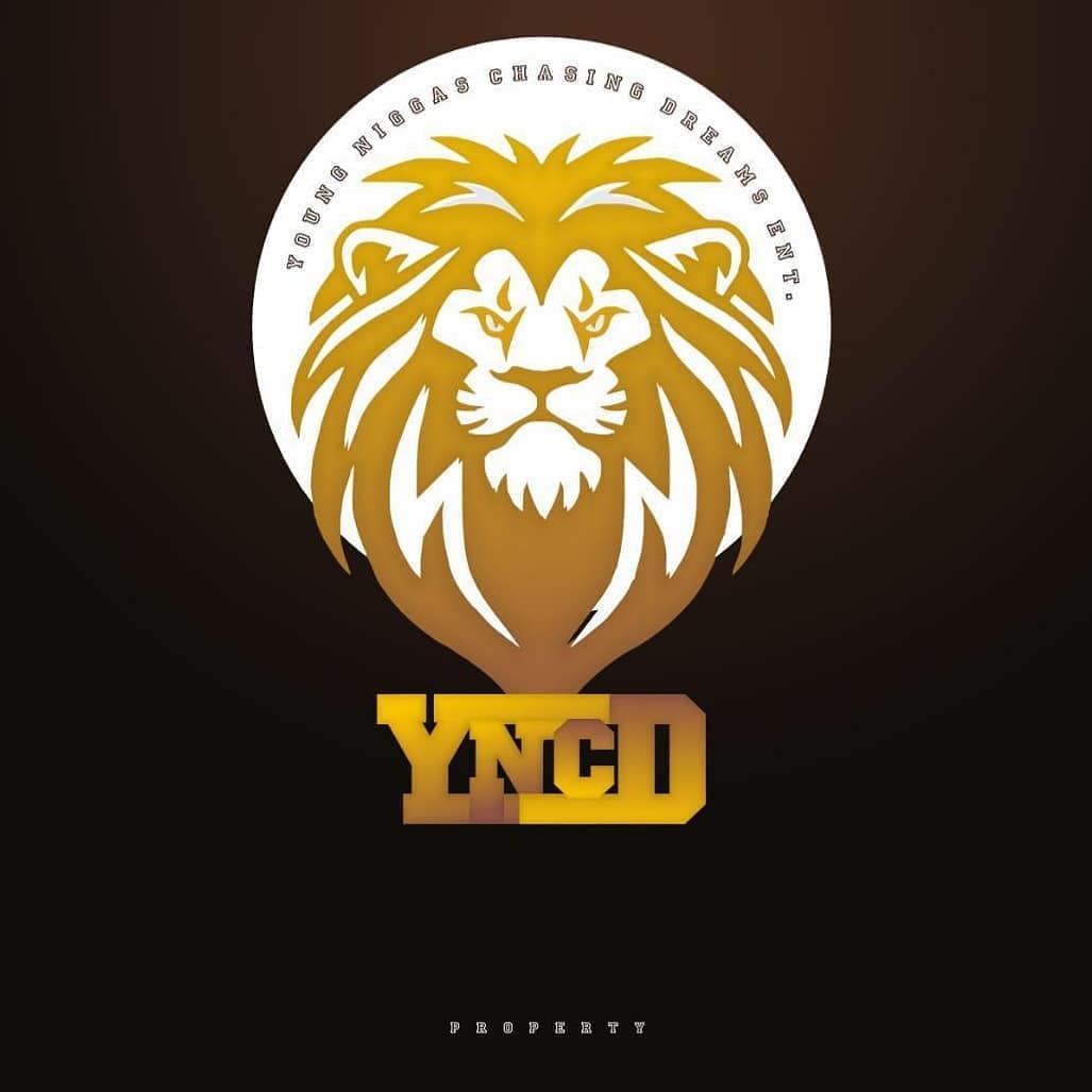 yncd_hq's tweet photo. New Beginning, Tag any artist you want on the Record Label! #yncd #newmoves #artist #adrobeat #nigeria #lagos #africa #bbnaija https://t.co/oU6pIOBx7b