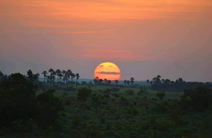 Venesequiba's tweet photo. Conoce el #Esequibo Venezolano: Espectacular atardecer en las Sábanas del #Rupununi sur.Foto tomada desde la Posada Ecoturística Waikin Ranch! Luego de la Pandemia anímate a conocer el #Esequibo Venezolano! #Ecoturimo #Aventura observación de #AvesExoticas #esequiboesvenezuela 🇻🇪 https://t.co/XMPEve25AO