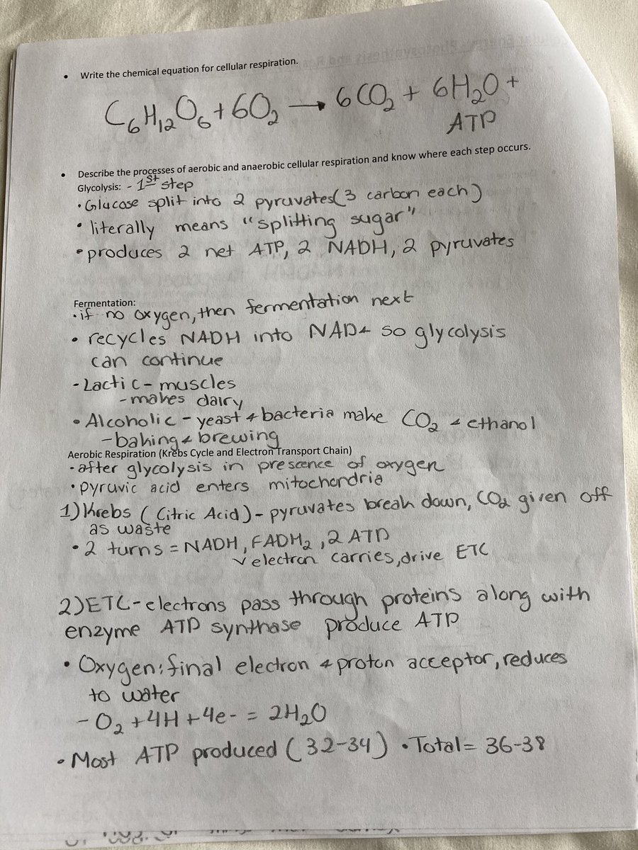 Study Guide Part 3: Cellular Energy~Photosynthesis and Respiration