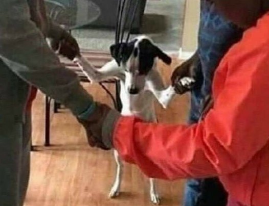 yacquemus's tweet image. toda mi familia esta noche a las 9 rezando por la recuperacion de guido