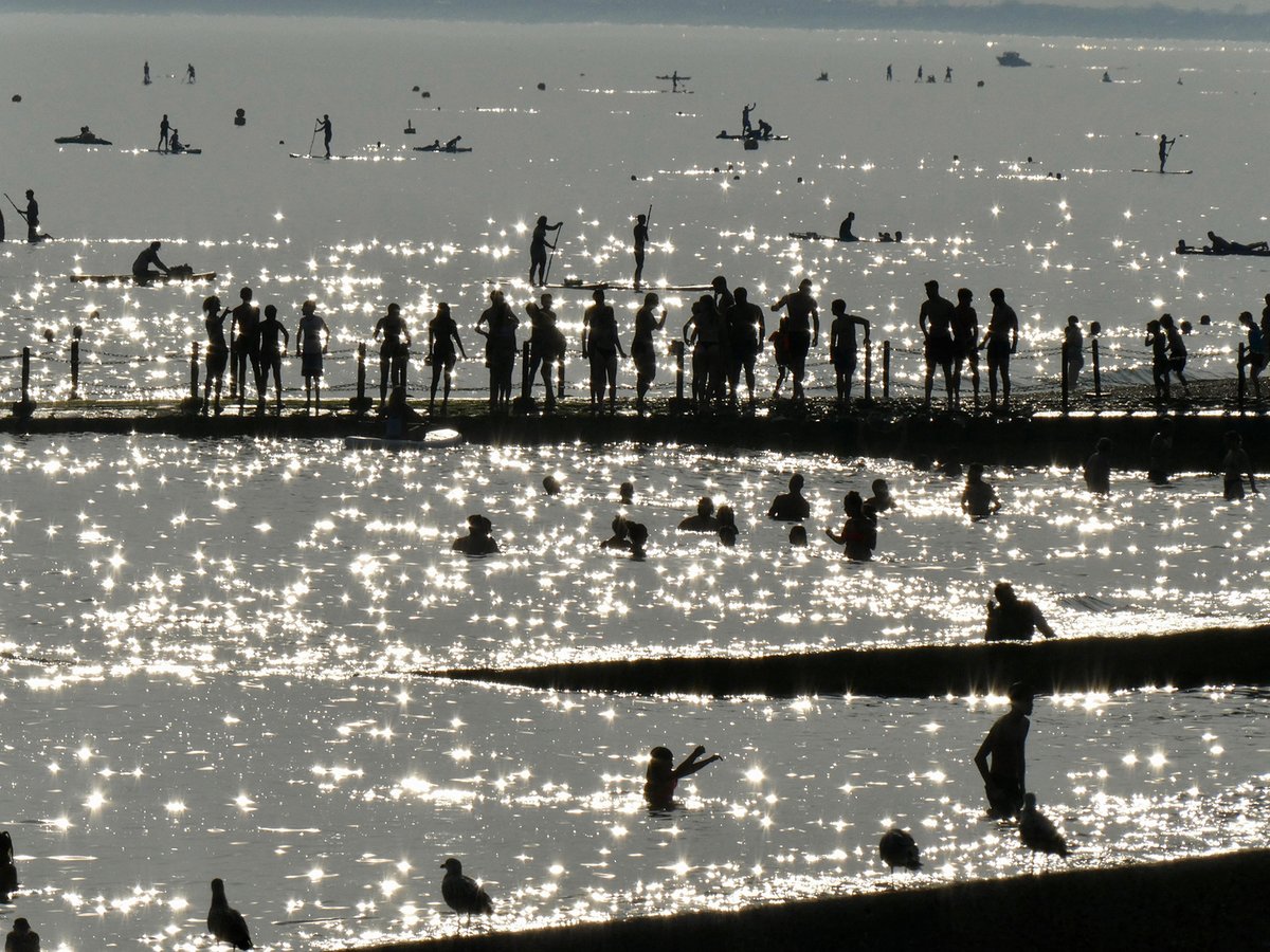 LewesCameraClub's tweet image. These three great images are the joint winners of our "Coming out of lockdown" competition:
- "Untitled" by Deborah Sloan
- Back to the office commute by Ken Mines
- Spaced out cafe culture by Julie Mills
All the images are at: lewescameraclub.co.uk/lockdown-pdi-c…
Which is your favourite?!