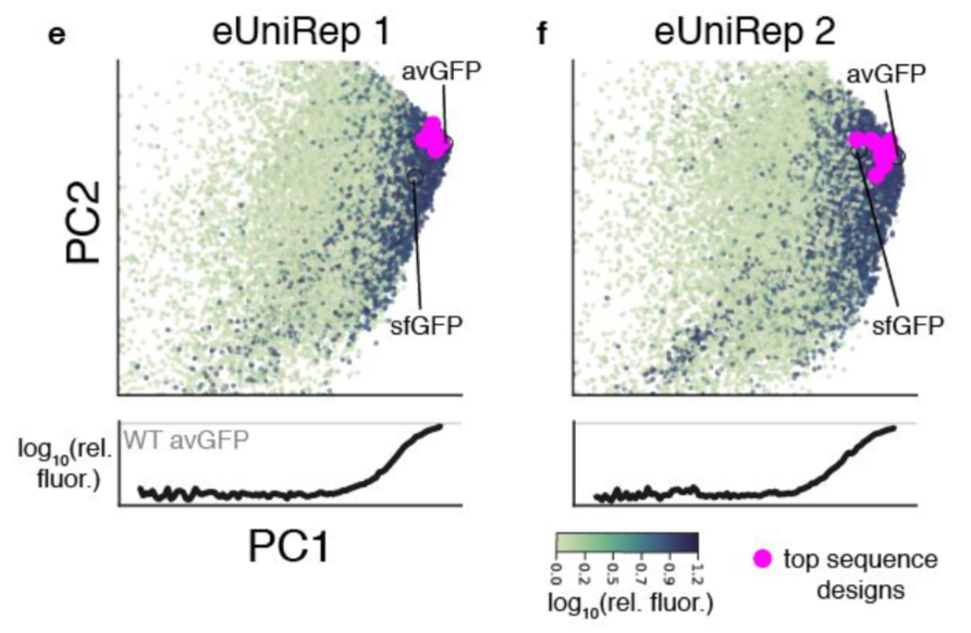 but NOT by it's ability to differentiate sequences with >= wild-type (WT) activity. In other words, sequences with >= WT activity all just looked like WT in terms of PC1 scores.