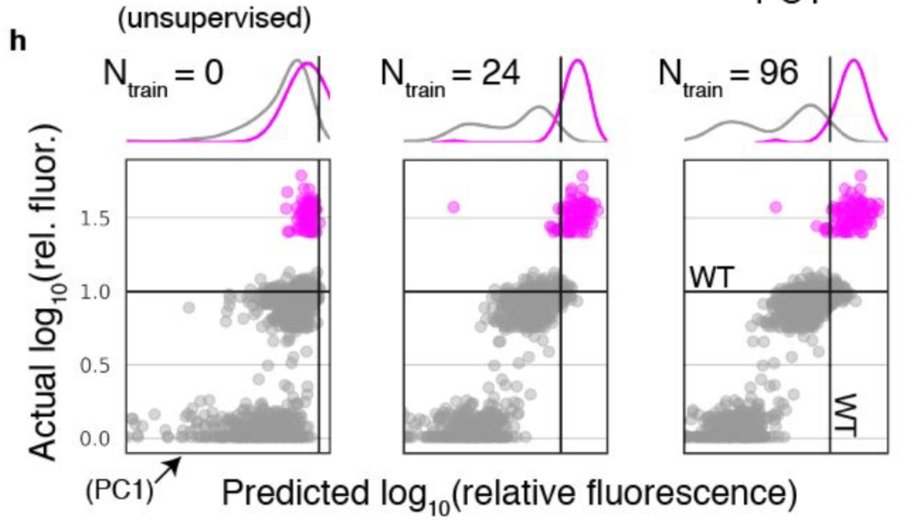 If we plot protein activity vs this 1 dimensional summary across increasing amounts of low-N training data, we see that low-N supervision is necessary to be able to differentiate enhanced, >WT variants from those with ~WT activity.