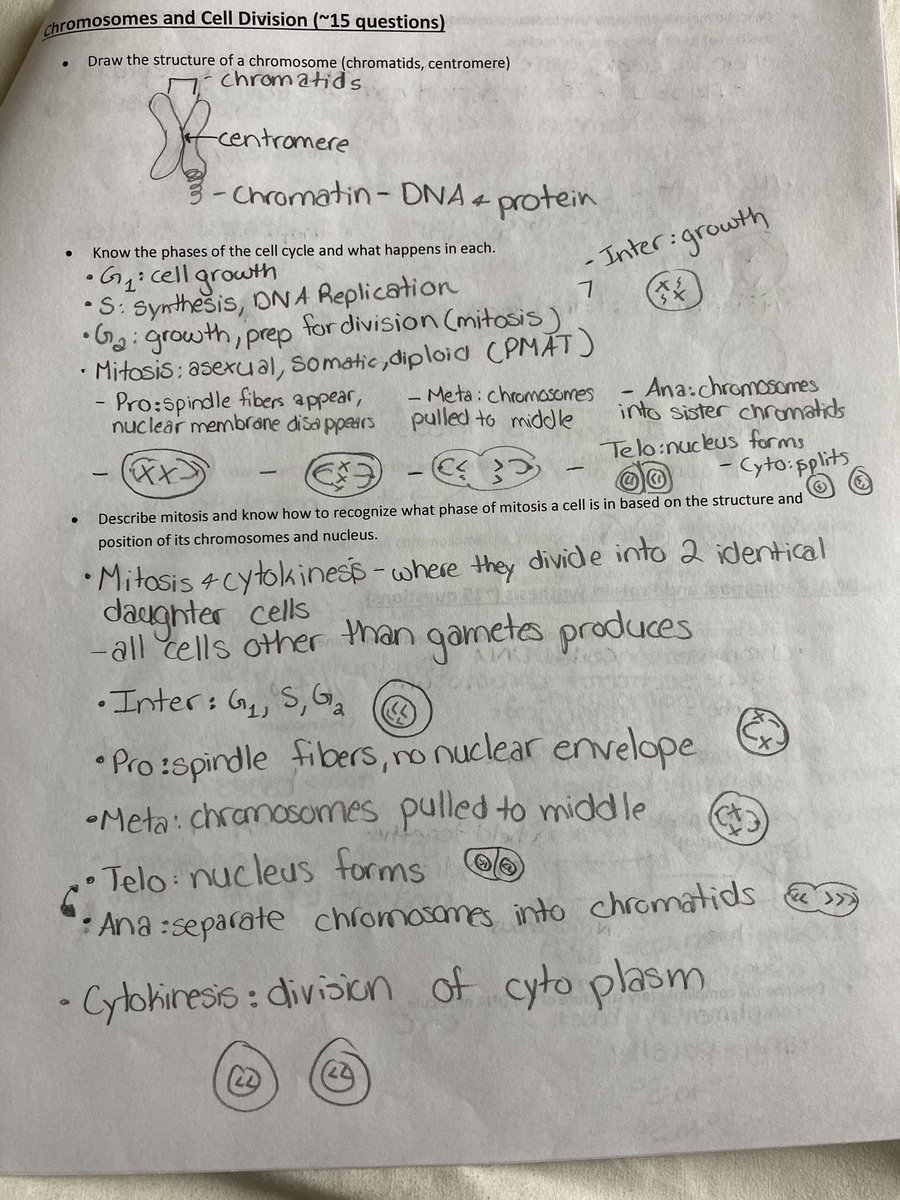 Study Guide Part 4: Chromosomes and Cell Division