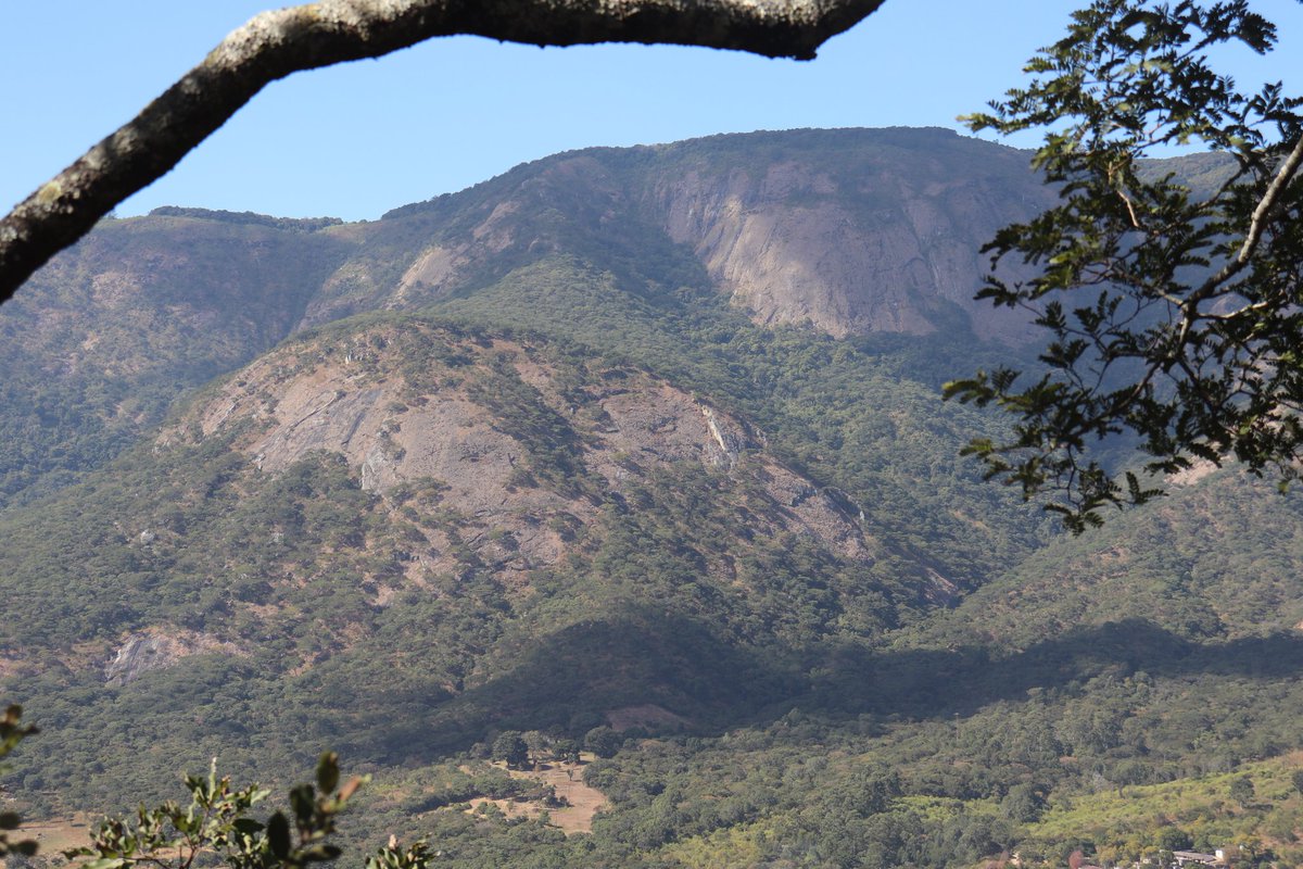 ZtaUpdates's tweet photo. 5/6 @KwayedzaLodge are getting all ready to get the ball rolling in #Vumba once they complete all the necessary procedures in order to operate within the #COVID19 parameters. 
#RestartTourism 
#TravelLocal 
#DomesticTourism https://t.co/5Sae2KZVgr
