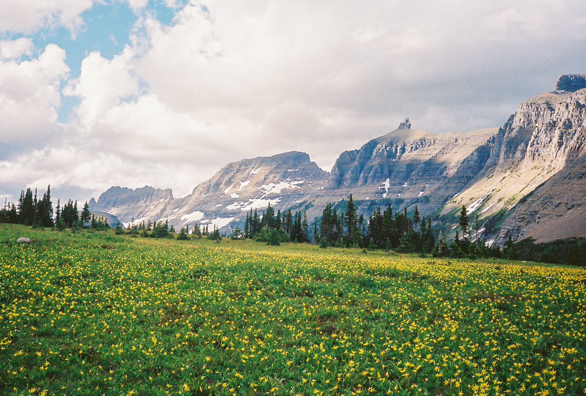 jessedyIan's tweet photo. Montana on film https://t.co/xEijkRXT3K