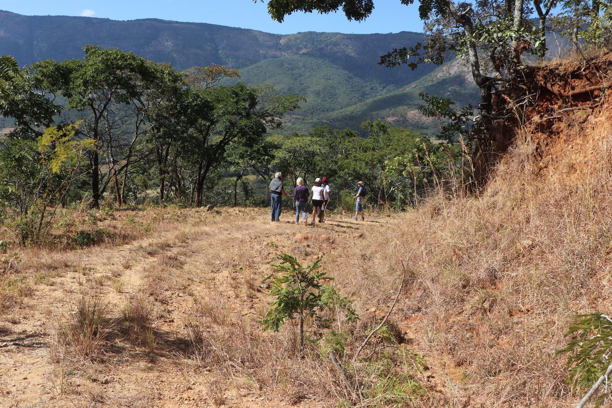 ZtaUpdates's tweet photo. 5/6 @KwayedzaLodge are getting all ready to get the ball rolling in #Vumba once they complete all the necessary procedures in order to operate within the #COVID19 parameters. 
#RestartTourism 
#TravelLocal 
#DomesticTourism https://t.co/5Sae2KZVgr