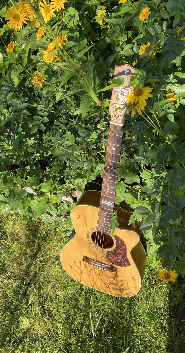 iriswagner's tweet image. Twitter friends~~~ As a warmup routine I‘m relearning some of my old tunes.
Is there anything special you want to hear? Please drop me a note - I‘d be all too happy to record and share more. 😊 🎸🔛🎶
🌼🌼🌼🌼🌼🌼🌼🌼