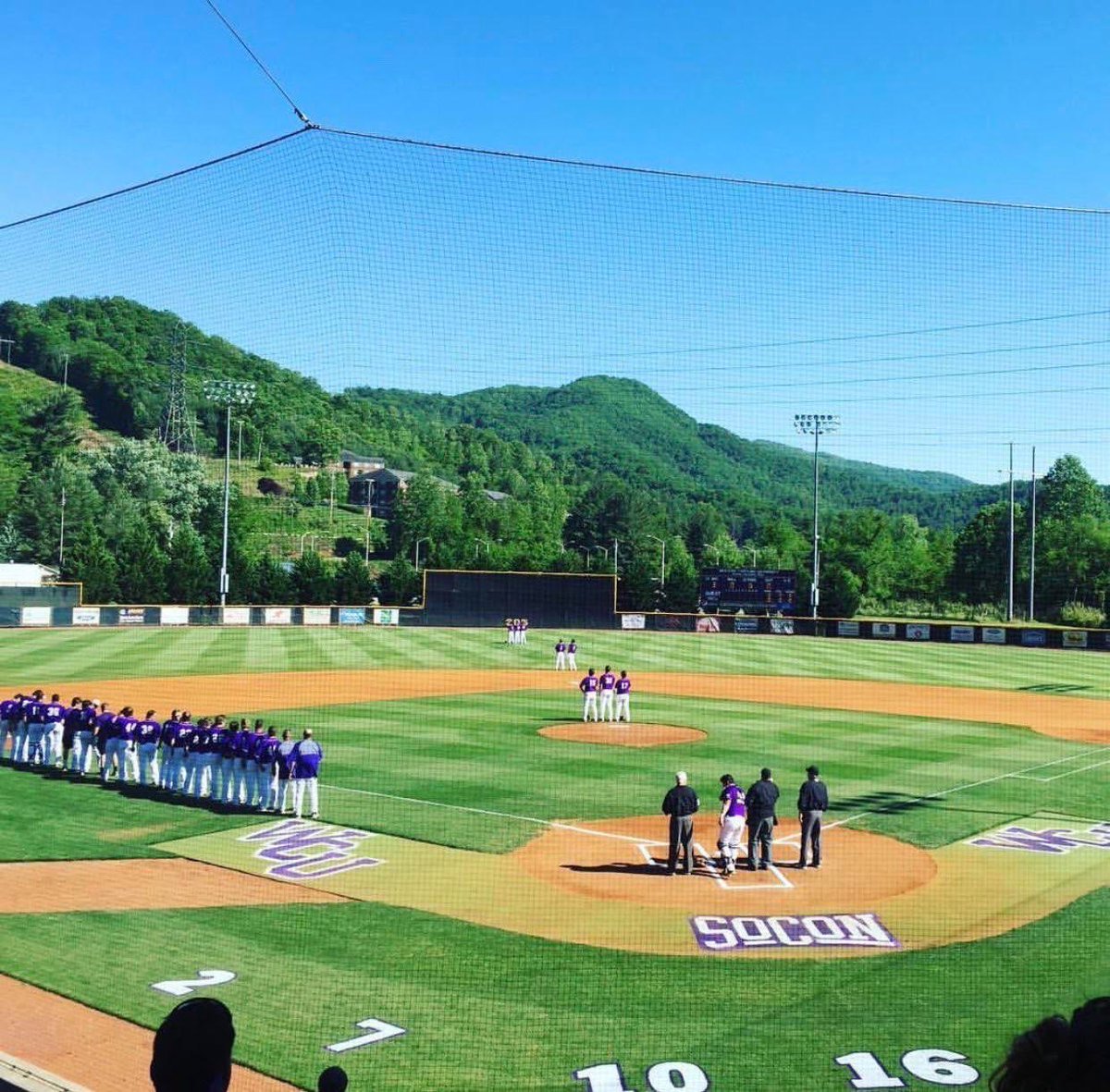 Cameron Murray tweet media