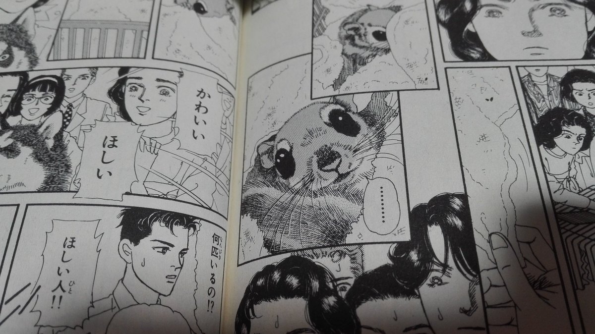 年9月1日 マツコの知らない世界で 動物 が話題に 3ページ目 トレンドアットtv