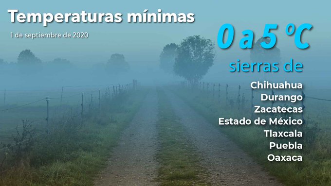 Ver imagen en Twitter