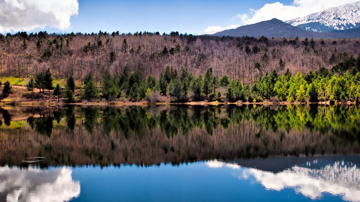 freexpro1's tweet photo. Hiking in Spain : El Moncayo https://t.co/PSPay4kdnq

#freex #freexpro #hikinginspain #budgethiking #hikingshoes #waterproof #condurafrabic https://t.co/e7xA19JB2x