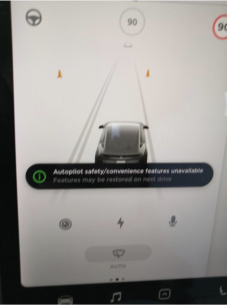 TomasHearty's tweet image. From a bull. #teslaautopilotissues $tslaq