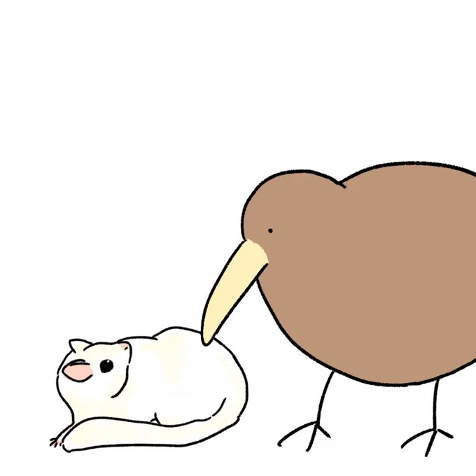 フクロモモンガとキーウィ 