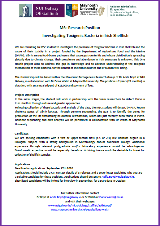 #OneHealth #MSc research opportunity @nuigalway with @onehealth_nuig PI Dr Aoife Boyd investigating the presence of toxigenic bacteria in Irish shellfish. An @agriculture_ie funded project in collaboaration w/ @FionaWalsh14 

To apply email aoife.boyd@nuigalway.ie by Sept 17th!