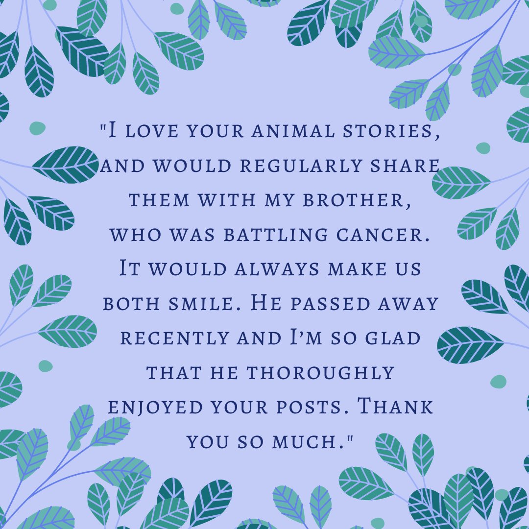 Thanks to one of our readers for sharing this moving story❤️