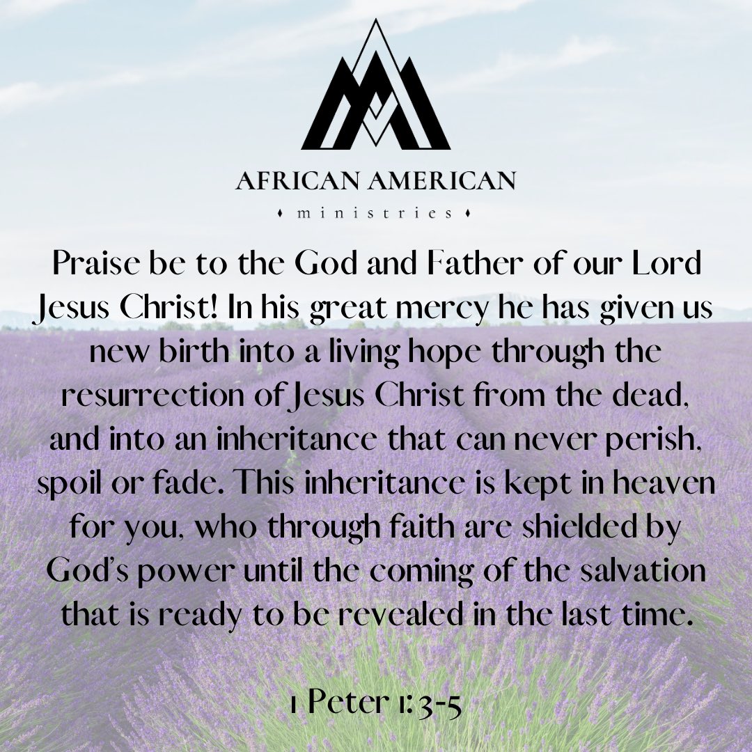 aampca's tweet image. 