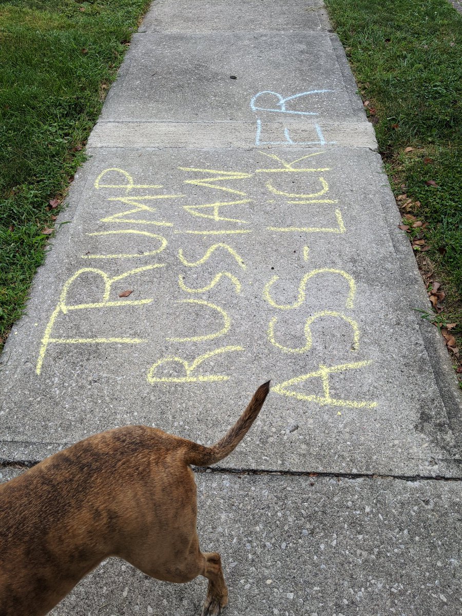 KeepCalmAndCode's tweet image. Came across this gem on my morning walk. 👍