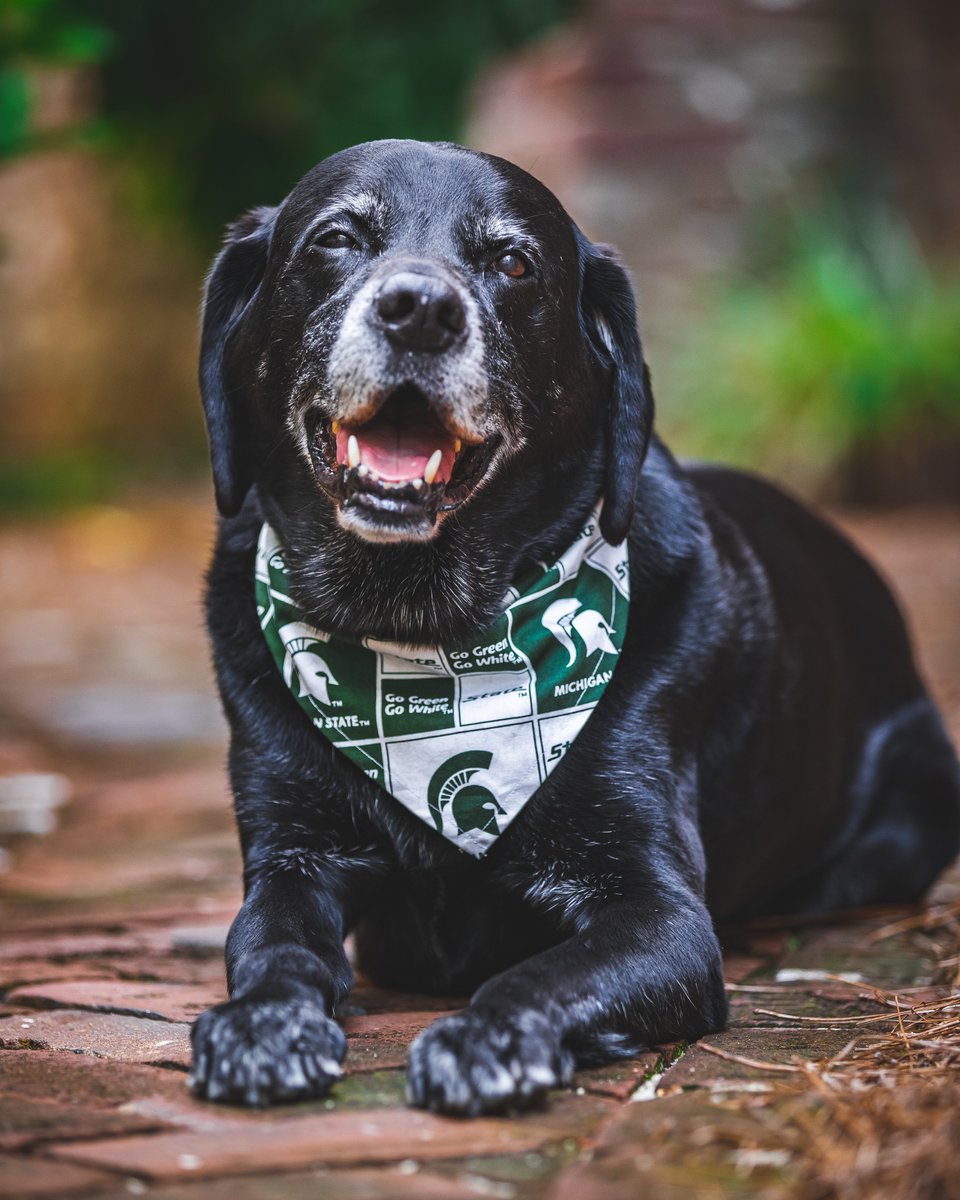 ben_c_18's tweet image. mood                                  mood
before                                 after
coffee                                 coffee