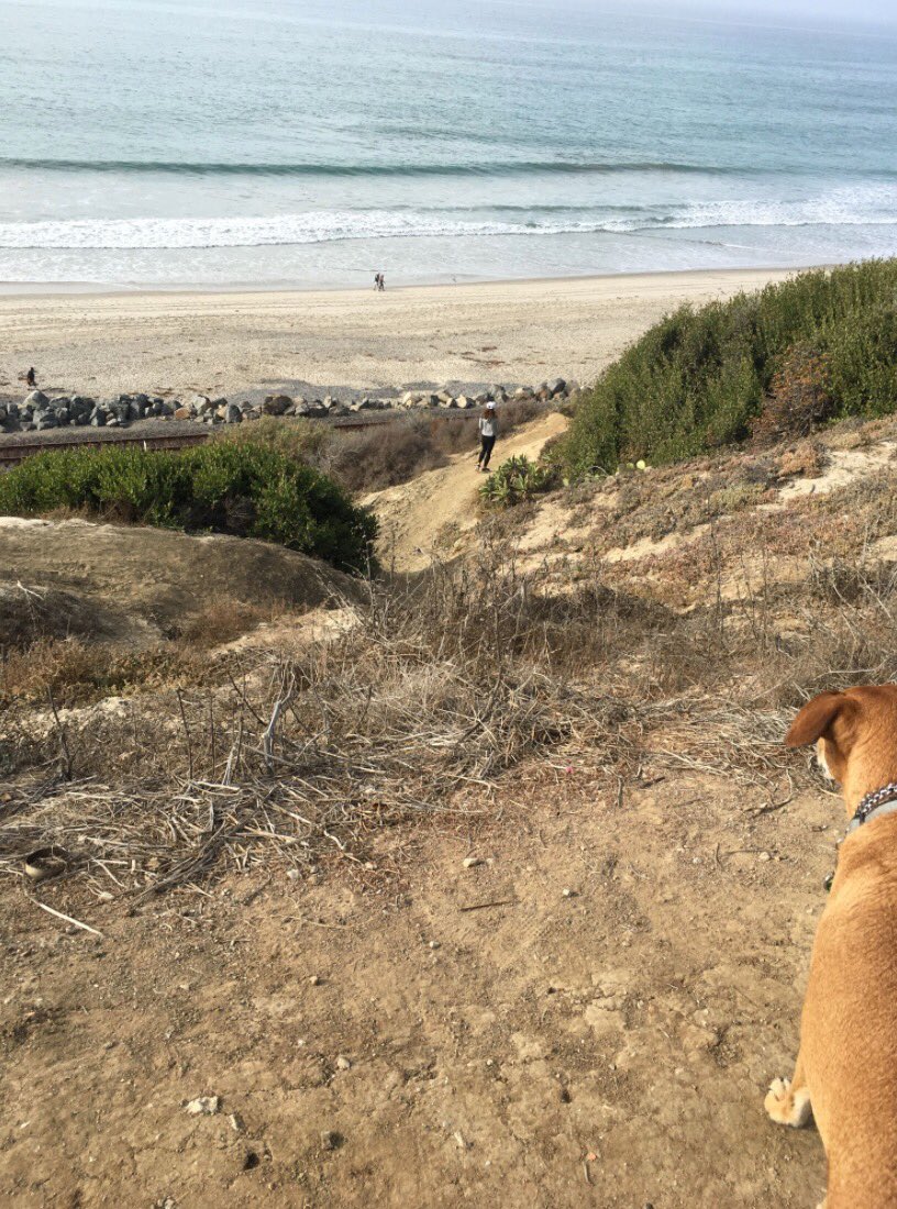 SaveSCBluff's tweet image. For over 50 years, the people of San Clemente have enjoyed this space with proposals, proms, pets, and picnics. Protect the bluff! #sanclemente #savescbluff #OrangeCounty