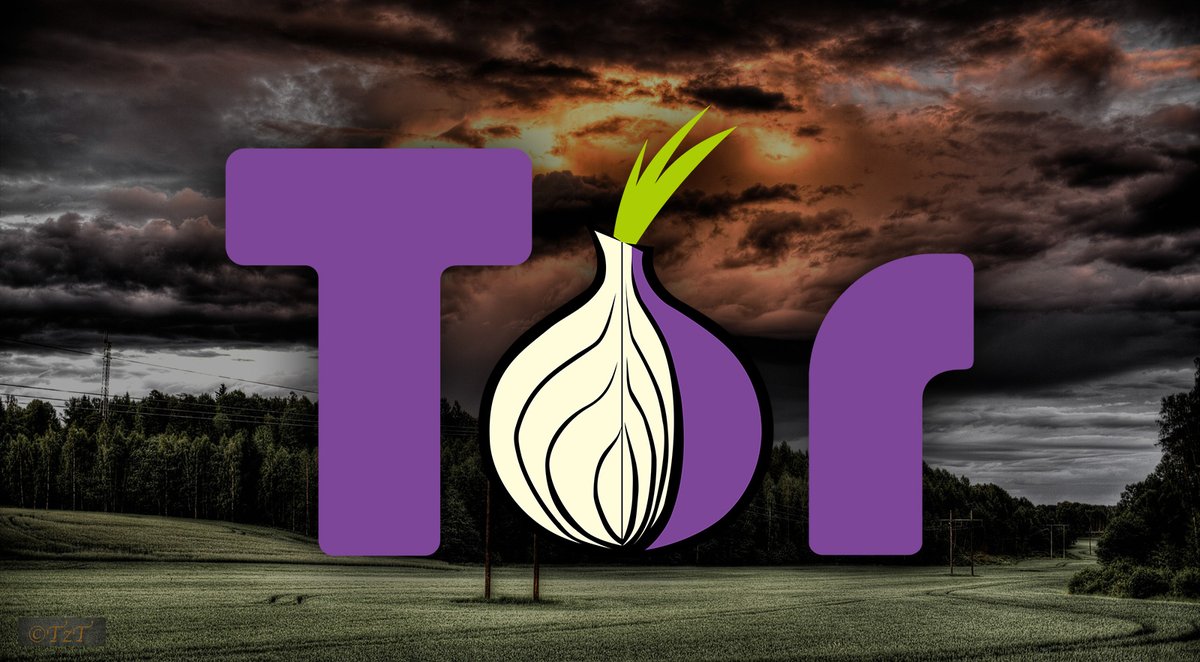 Tor Markets 2024