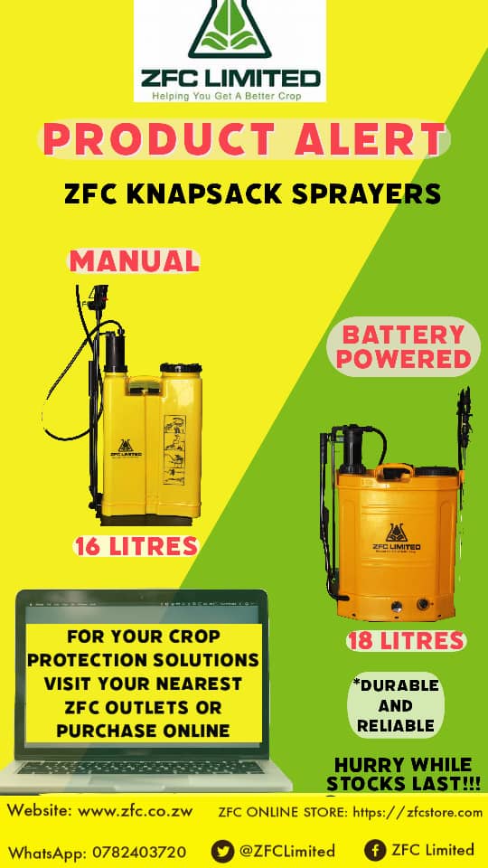 A hefty profit is certain when the crop is in good health. Purchase your Knapsack Sprayer at our ZFC Outlets.
<a href="/ChembelaJustice/">Justice Chembela</a> <a href="/ZivanayiG/">Zivanayi Gonzo</a> @DzidzaiMunhutu <a href="/Moreblessingmuv/">Moreblessing Muvirimi</a> <a href="/ChimudziFungai/">Fungai Chimudzi</a> <a href="/Tashiedan/">Tashinga mudzengi</a> @HappinessZvinowanda <a href="/SlyThom/">Sly Thom</a> @SigwadhiTerrence <a href="/MazanaEmmanuel/">emmanuel mazana</a>