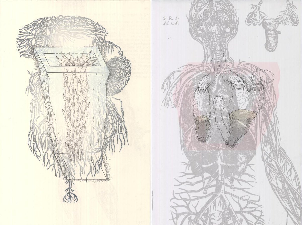 Timothy Caulfield (@caulfieldtim) on Twitter photo New article: "Discussing The Anatomy Table and The Vaccination Picture" imaginations.glendon.yorku.ca/?p=13310 via <a href="/ImaginationsJ/">Imaginations Journal</a> <a href="/NatalieLoveless/">Natalie Loveless</a>
We explore the challenge of countering misinformation in healthcare today and how visual art can play an important role.
#VaccinesWork! New article: "Discussing The Anatomy Table and The Vaccination Picture" imaginations.glendon.yorku.ca/?p=13310 via <a href="/ImaginationsJ/">Imaginations Journal</a> <a href="/NatalieLoveless/">Natalie Loveless</a>
We explore the challenge of countering misinformation in healthcare today and how visual art can play an important role.
#VaccinesWork!