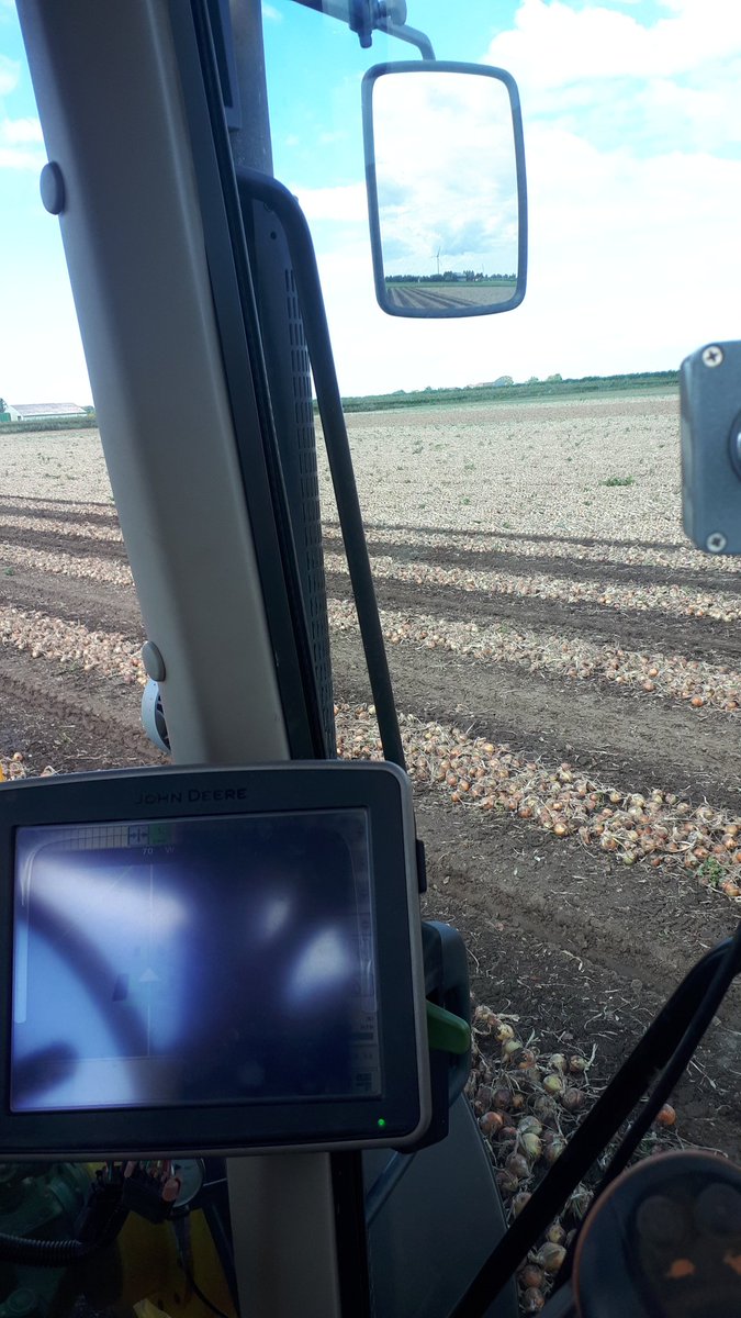 De uien ook er maar boven op leggen. Valt niks tegen na al die regen.