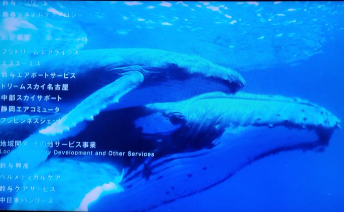 Popular Tweets Of いさお 1 Whotwi Graphical Twitter Analysis