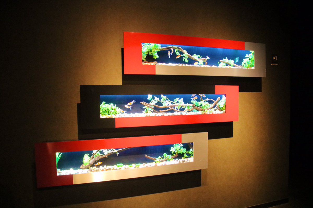 𝕂𝔸𝕆ℝ𝕌 すごい物を見てしまった 8 28にopenした アートアクアリウム美術館 金魚も含め 照明 音楽 壁紙 随所に飾られている浮世絵に インテリア 全て目の保養な芸術品で作られた最高な空間でした アートアクアリウム美術館 T Co