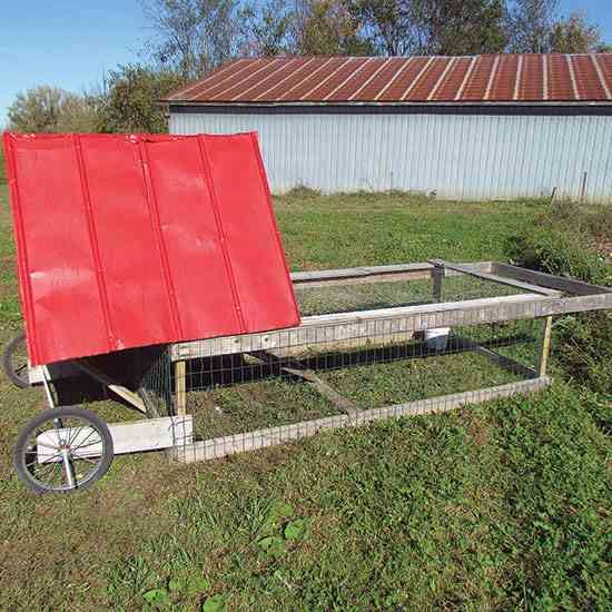 MotherEarthNews's tweet photo. This #DIY #chickentractor is portable, low-cost, and easy to maintain. #chicken #chickens #diychickentractor #diytractor #chickengood  #MotherEarthNews https://t.co/VEDZGZHQxS https://t.co/Pz4ouP4xFL