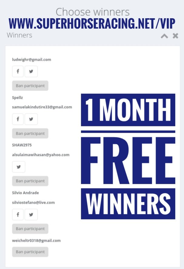 Super Horse Racing Tips tweet media