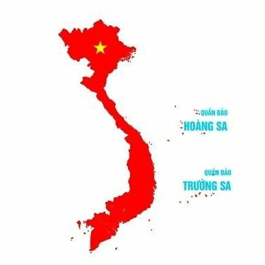 Nguyễn Trà My tweet media