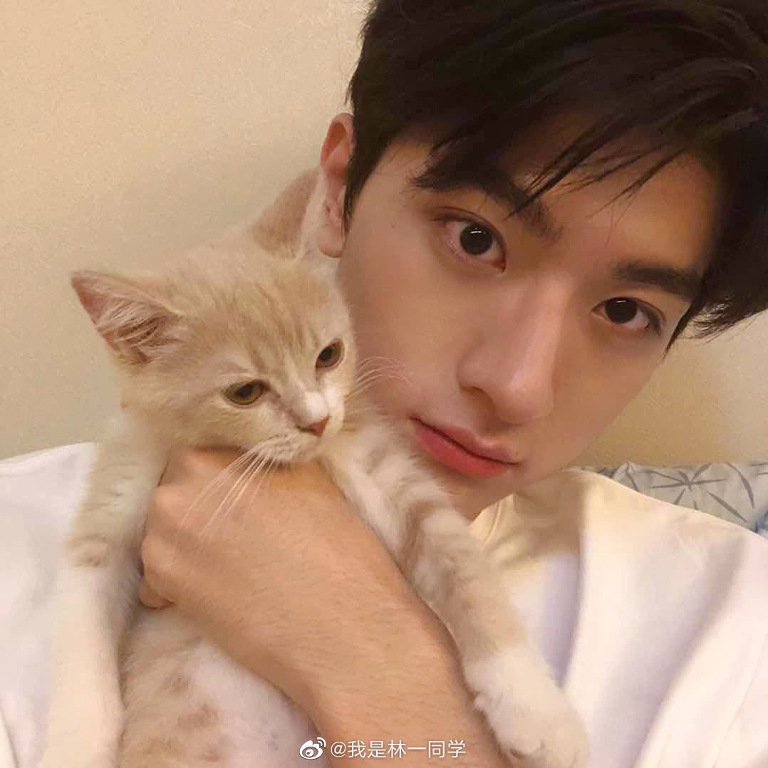  #LinYi was the male lead of  #PutYourHeadOnMyShoulder! Since his female lead in PYHOMS,  #XingFei is rumours to do a drama with  #HuYiTian! So, why not a crossover partner btw ALSB & PYHOMS! . Yes, my wish is to see LY in a drama with SY since XF will do a drama with HYT!