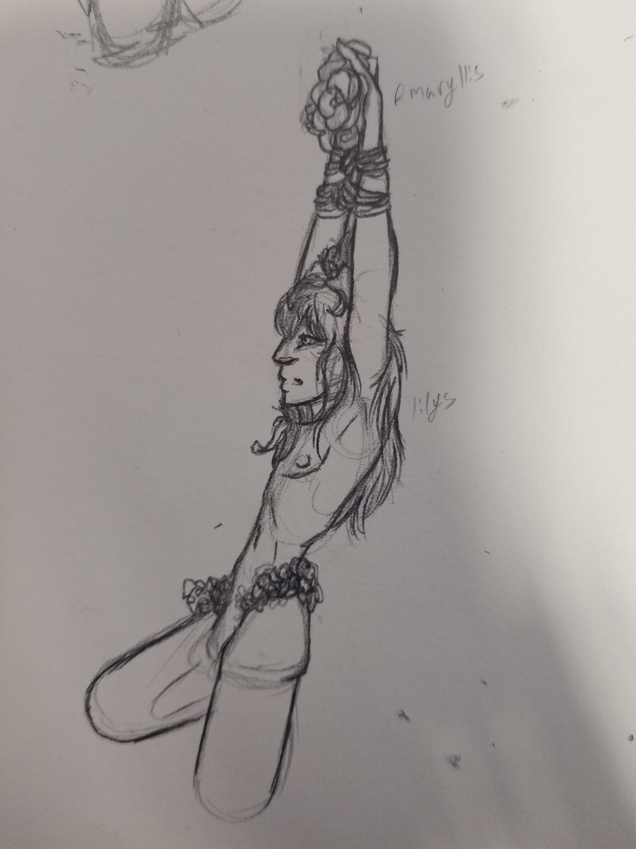 Celestialdemigd's tweet photo. The need to digitalize this is real but I have commissions to do first...
#workdoodle #art #artwork #doodle #drawing #sketch #flower #flowers #bondage #ropework #ropeplay #elf https://t.co/kOqhkjbd5z