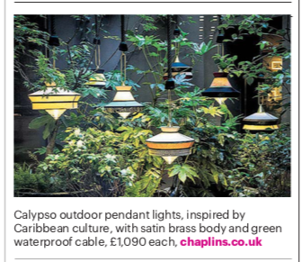 Stefania Evans tweet media