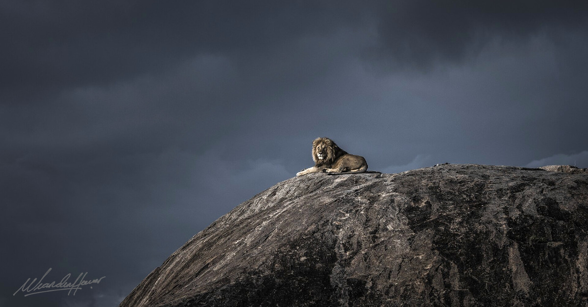 PenQuin Tours🐾 tweet media