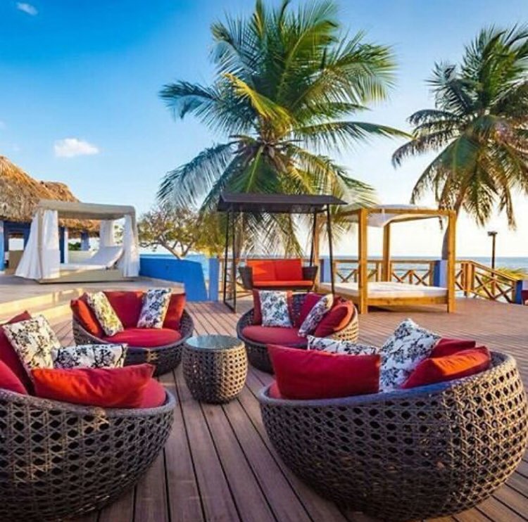 haititravel_tv's tweet photo. Good Morning from @decameronhaiti 🏖
This is Haiti🌺🌺🌺🌺🌺
#haititravel #safetripshaiti #discoveringhaiti #haitiexperienceit #haititourism #royaldecameron #haiti #travelphotography #travelinghaiti #travel https://t.co/03rd98BNnh