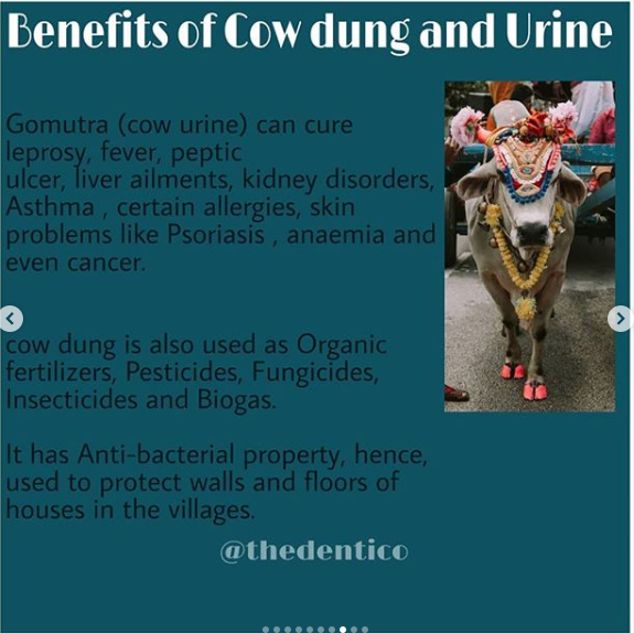 Holy Cow and HinduismAn insight by Akanksha  @thedenticoInstagram Id :  @thedenticoPart 3