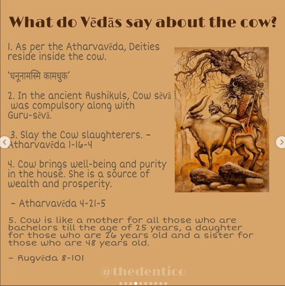 Holy Cow and HinduismAn insight by Akanksha  @thedenticoInstagram Id :  @thedentico
