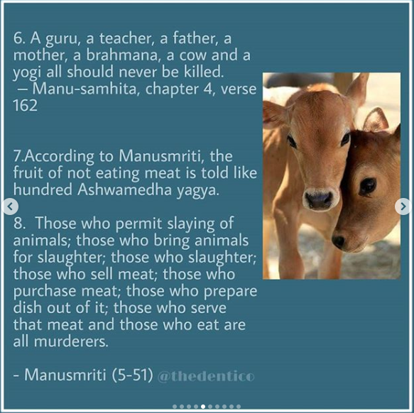 Holy Cow and HinduismAn insight by Akanksha  @thedenticoInstagram Id :  @thedenticoPart-2