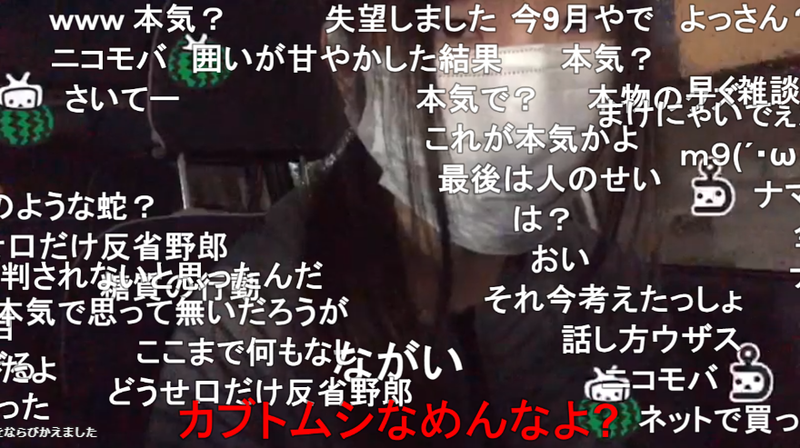 星屑jet かなた タイトル詐欺で謝罪 カブトムシを絶対に採るという枠を取り アブ対策で養蜂家のような装備で挑むも アブ が怖いという理由で早々に敗走 リスナーに楽しんでもらうため 自分の能力以上の枠を取る傾向にあり反省 今後本コミュで