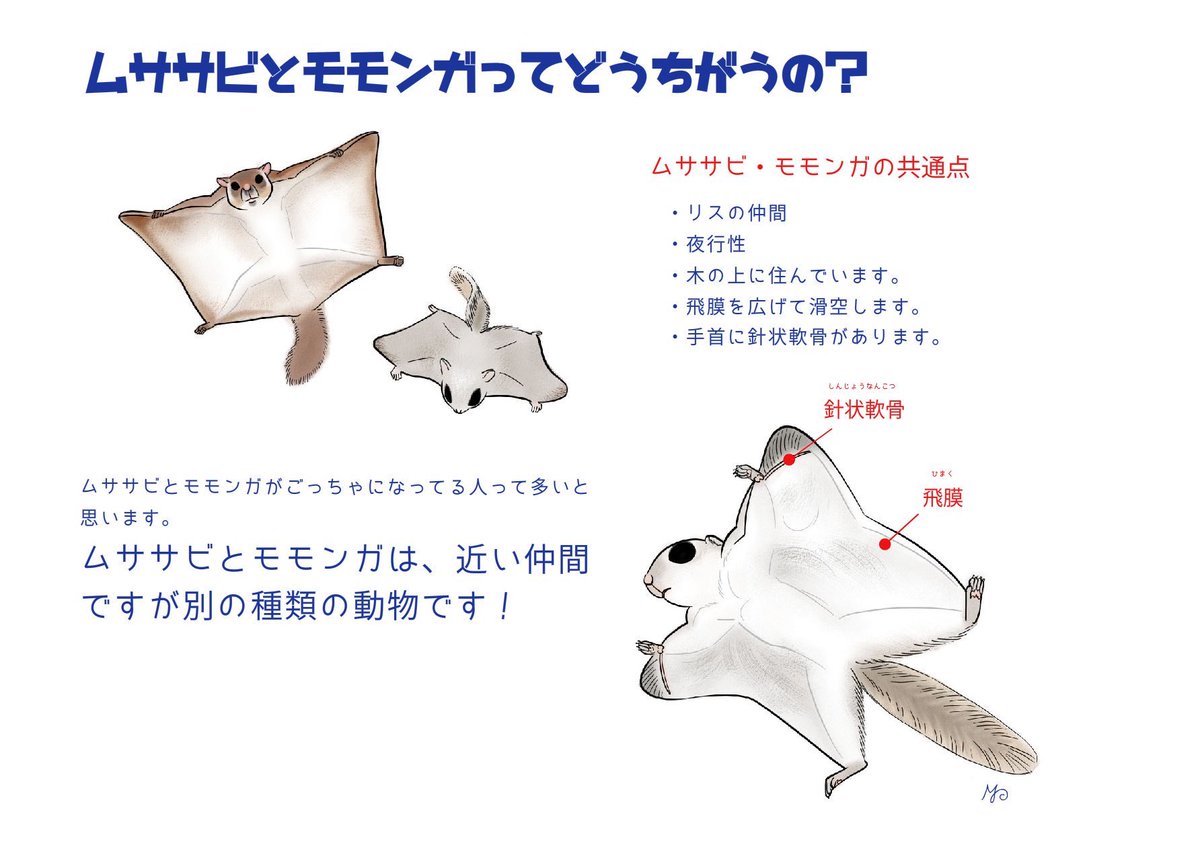Maki りすマニア ちなみに進化は 進化論 とか誰かが言ってる一つの説とかではなくて 進化生物学 という立派な学問で今も研究が進んでいるのです すごいね 古代のdnaの記憶を辿るなんてワクワクするじゃんね Maki りすマニア ちなみに進化は 進化論 とか誰かが言ってる一つの説とかではなくて 進化生物学 という立派な学問で今も研究が進んでいるのです すごいね 古代のdnaの記憶を辿るなんてワクワクするじゃんね