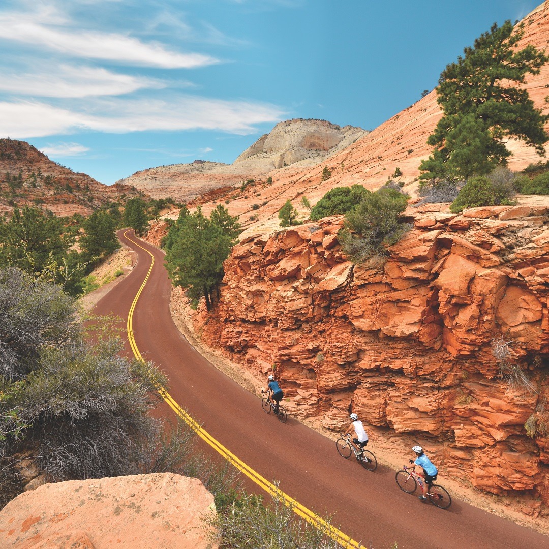 Team_Cycles's tweet photo. Three is never a crowd when cycling! 🙌🏼 #TrekTravel 

Discover our extensive range of Trek Bicycle at #TeamCycles. 
https://t.co/cOq5yyhvNH https://t.co/OJlwYpZdjv